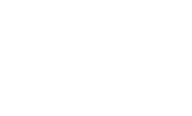 schema_1