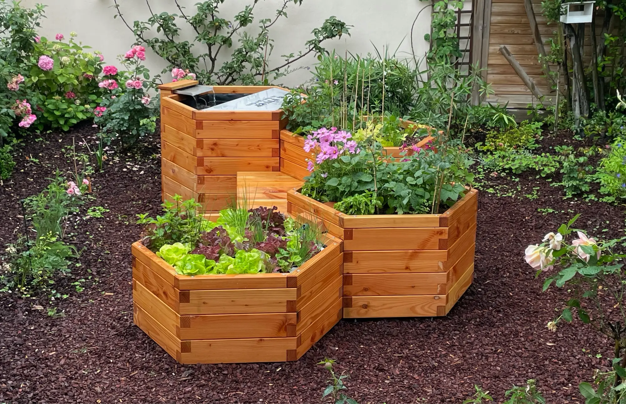 quatre modules en bois d'un système aquaponie avec des salades et des plantes qui poussent