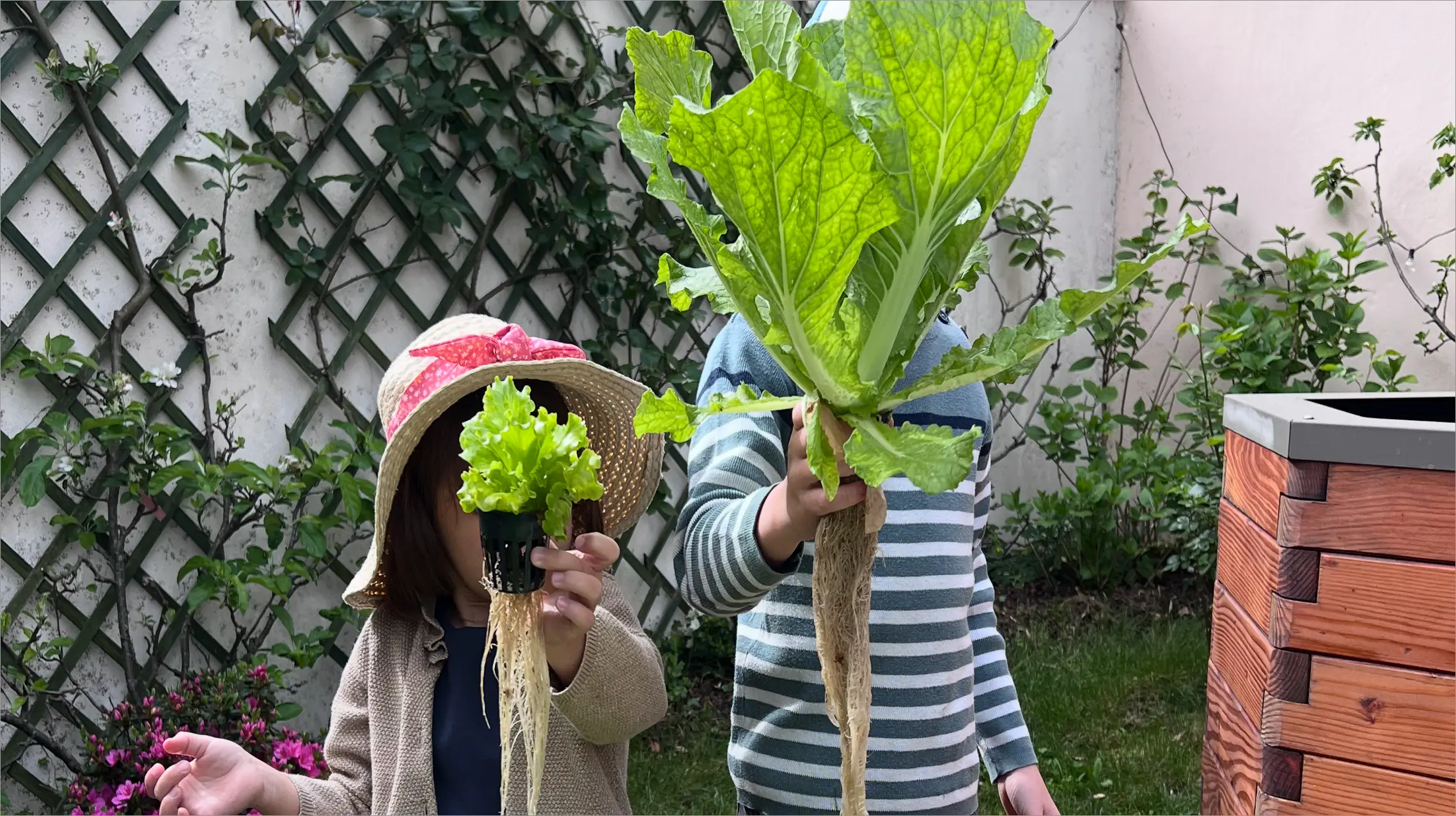 Salades masquées