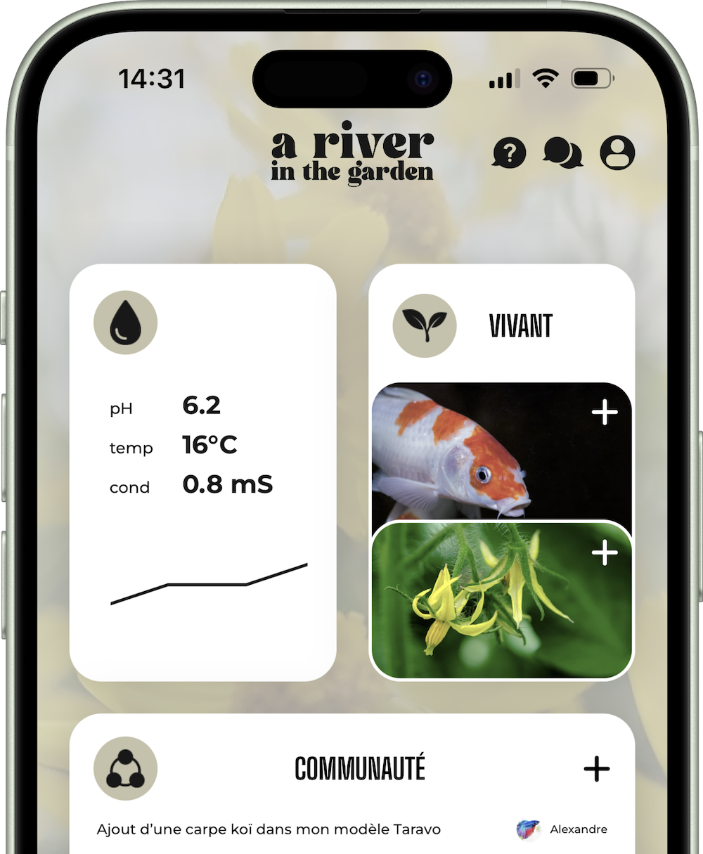 écran de chargement application mobile river in the garden
