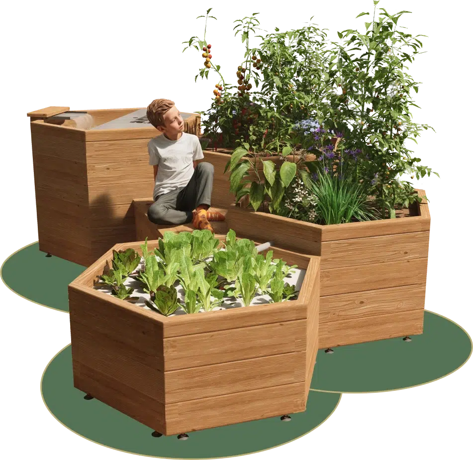 Système aquaponique en bois avec un garçon qui lit sur un banc en bois