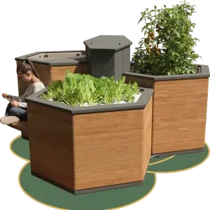 Taravo