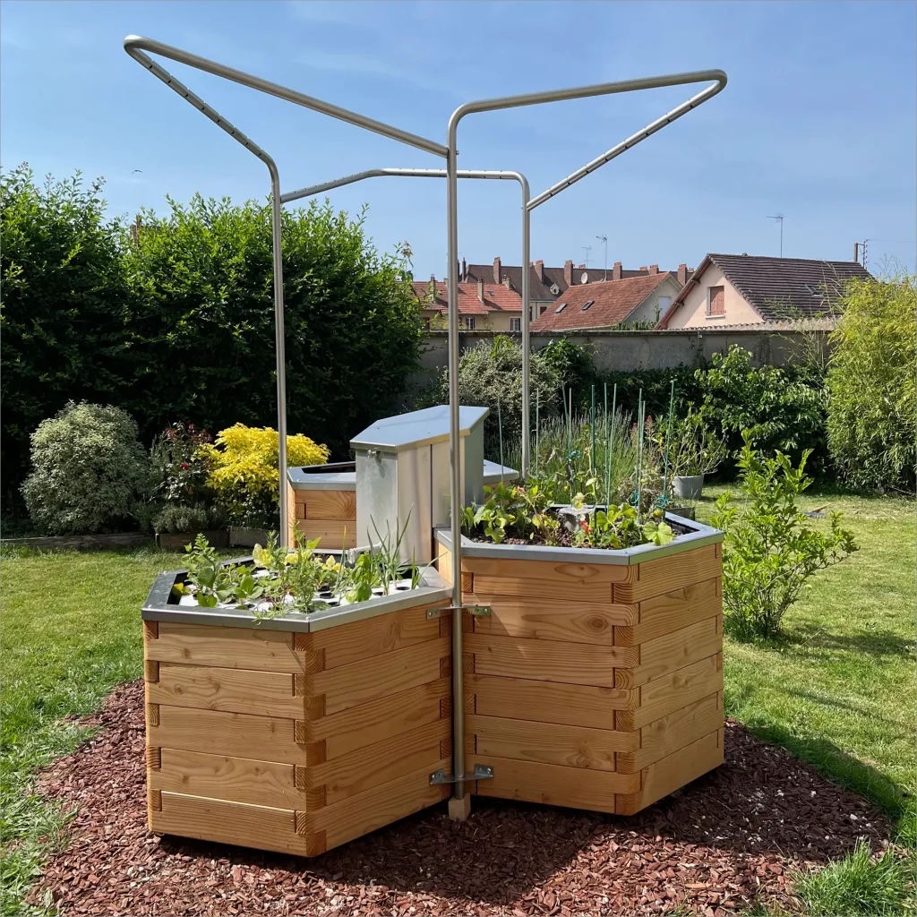 bassin potager aquatique en bois avec 3 modules