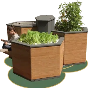 système aquaponie accessible en bois avec un enfant qui lit au-dessus