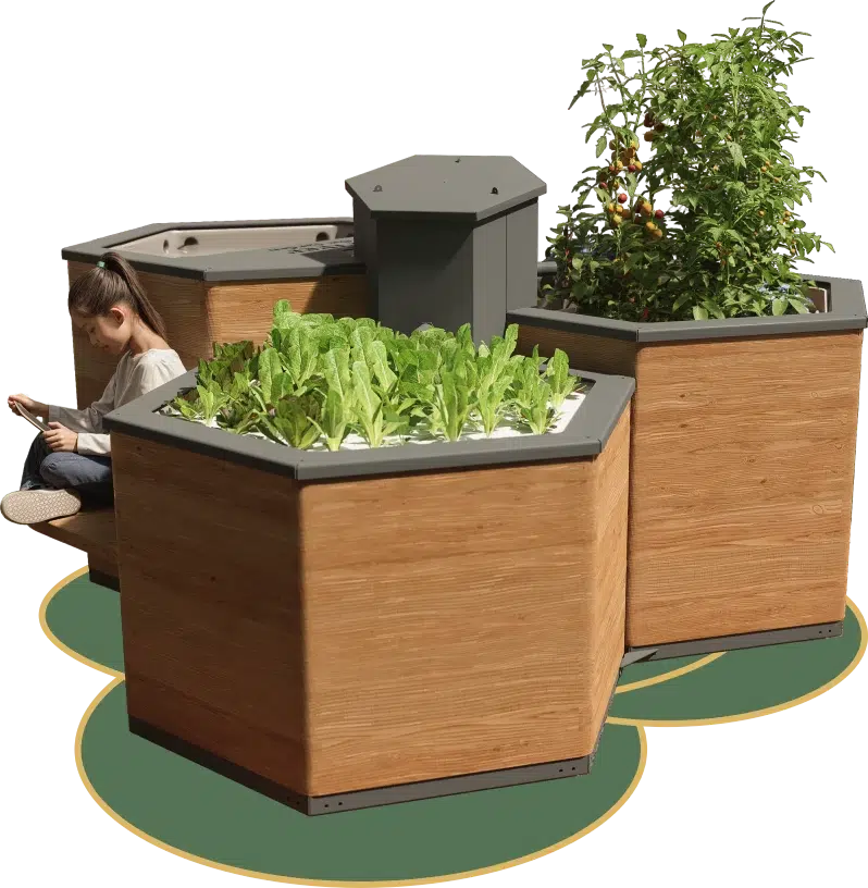 système aquaponie accessible en bois avec un enfant qui lit au-dessus