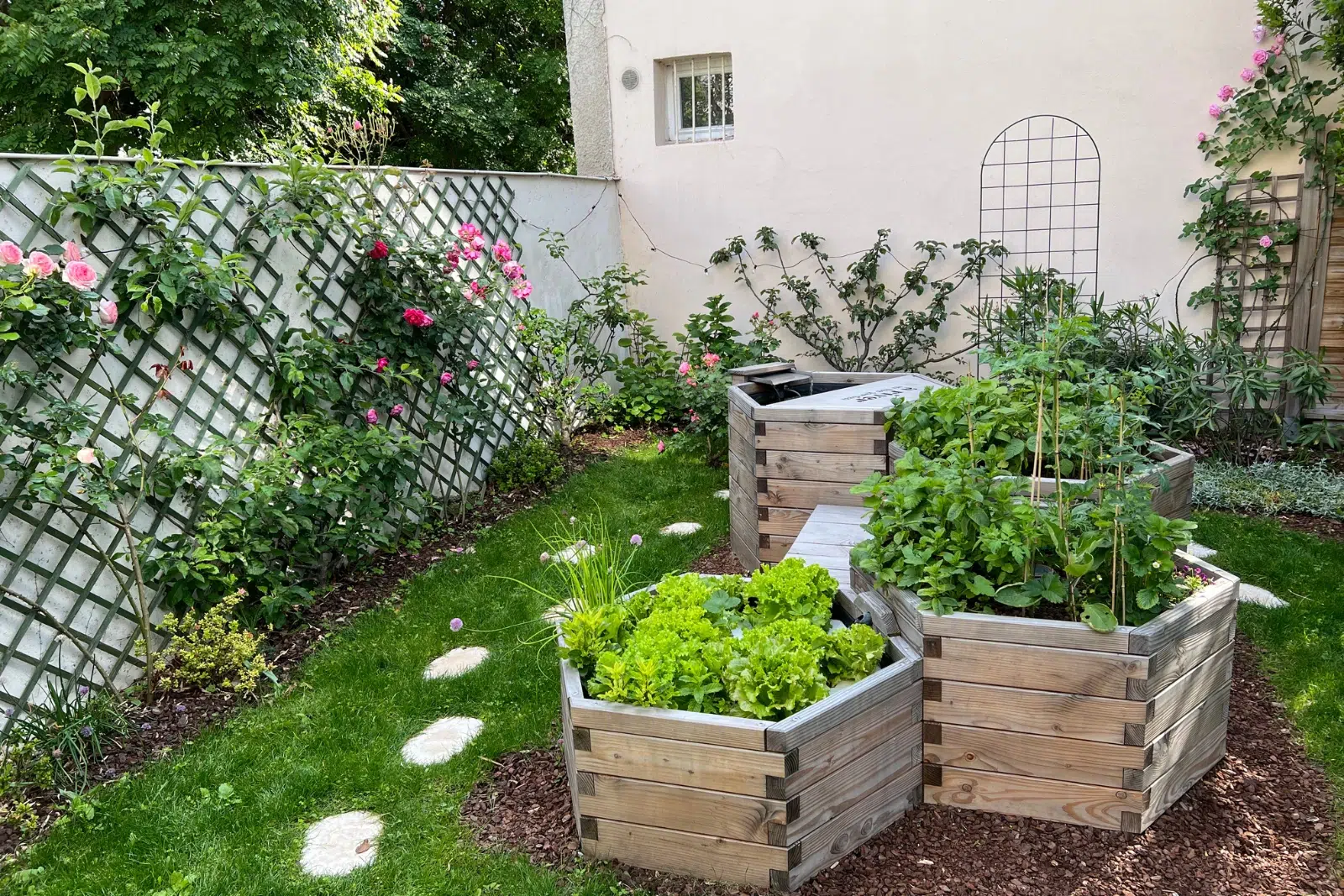 Structures en bois avec plantations dans un jardin.