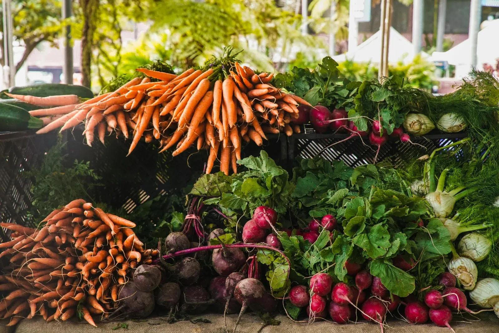 De nombreux légumes, carottes, radis