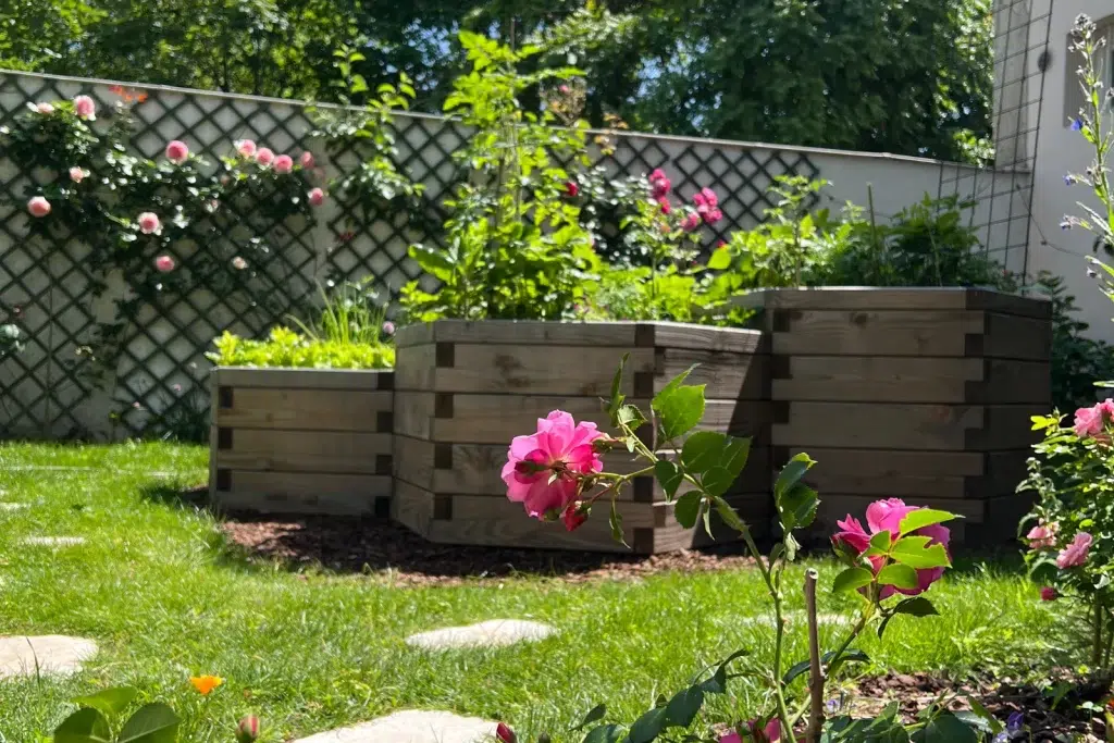 Système aquaponique avec structures en bois dans un jardin.