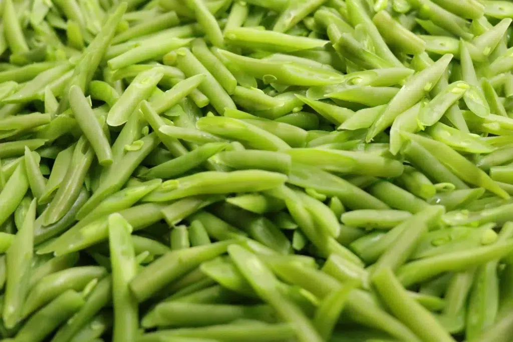 Haricot vert selon le calendrier du potager 2025