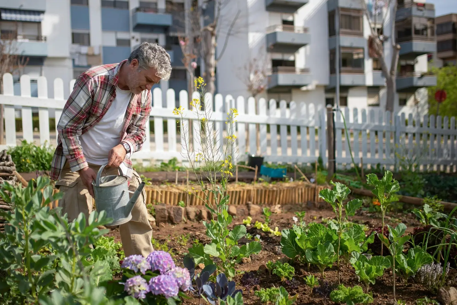 Homme arroser son plan de potager pour débutant