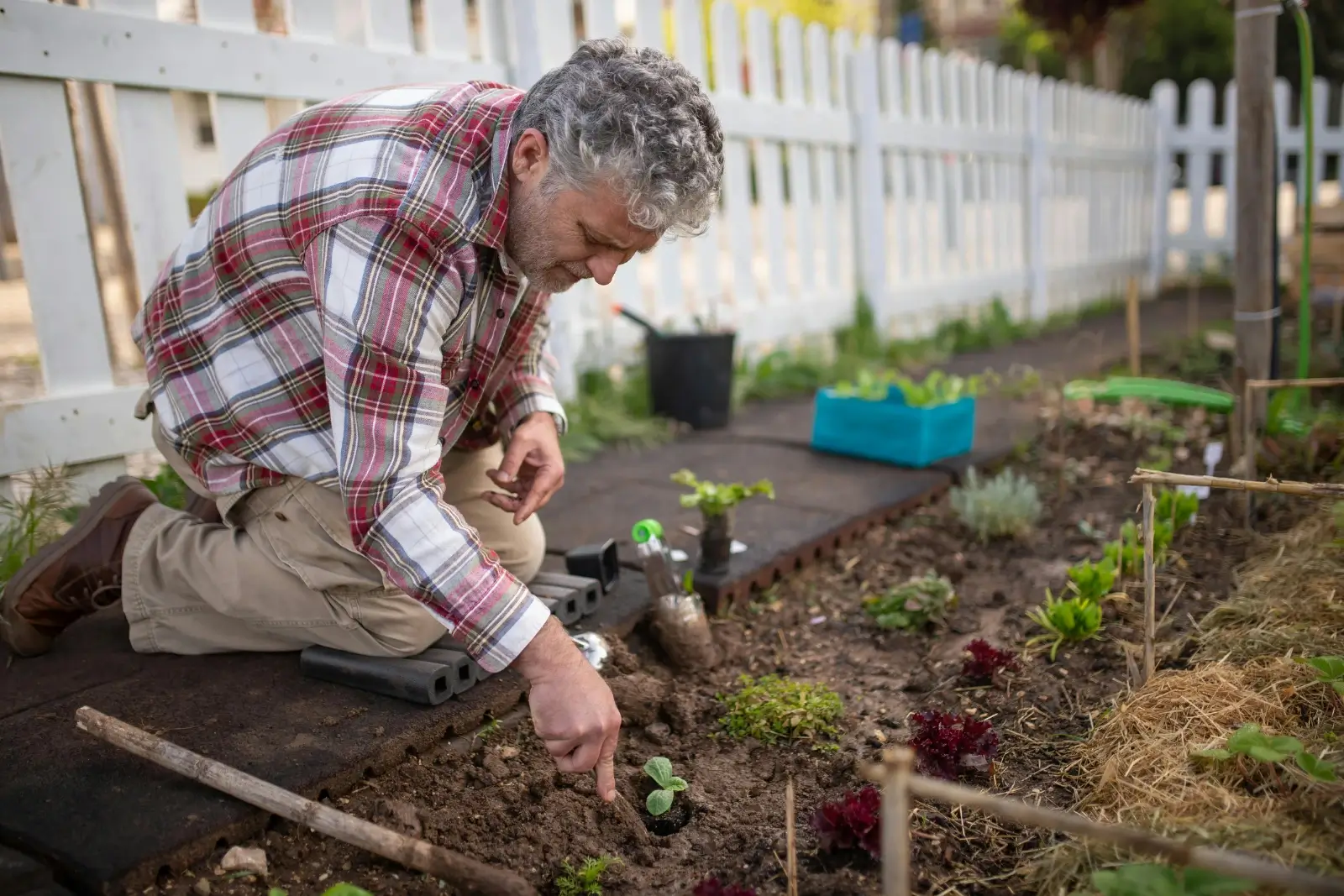 Homme qui jardine dans son potager