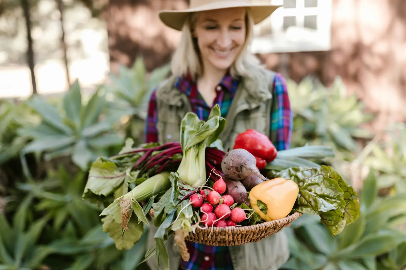 Femme avec un chapeau et un panier de légumes dans un potager.