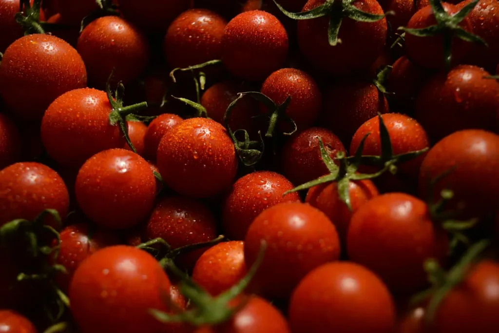 Des tomates rouges et rondes en grappes.