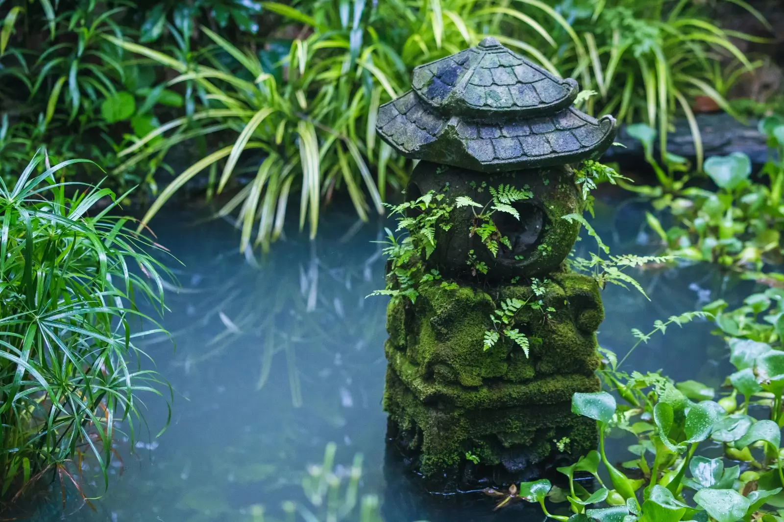 Bassin de jardin avec plantes et statut en pierre