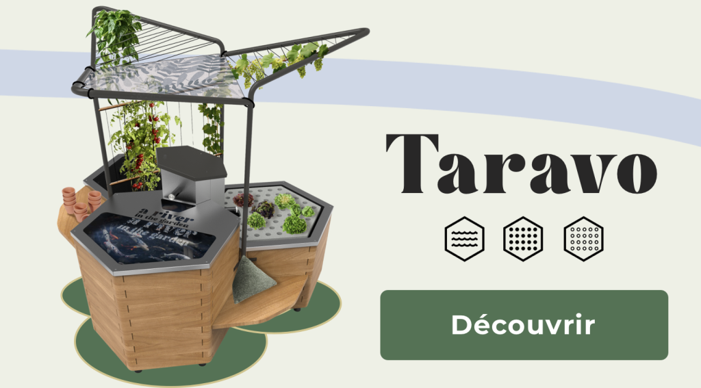 systeme en bois potager aquatique