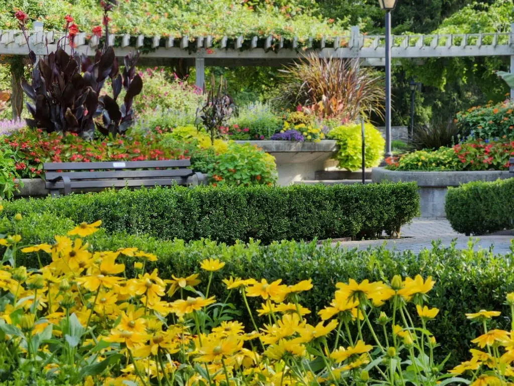 Jardin avec des leurs et des haies
