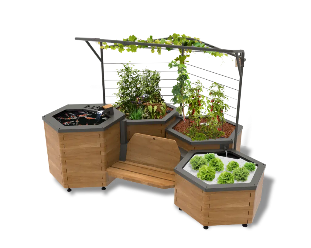 bassin potager aquatique en bois avec quatre modules