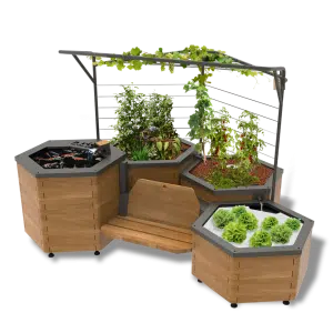 bassin potager aquatique en bois avec quatre modules