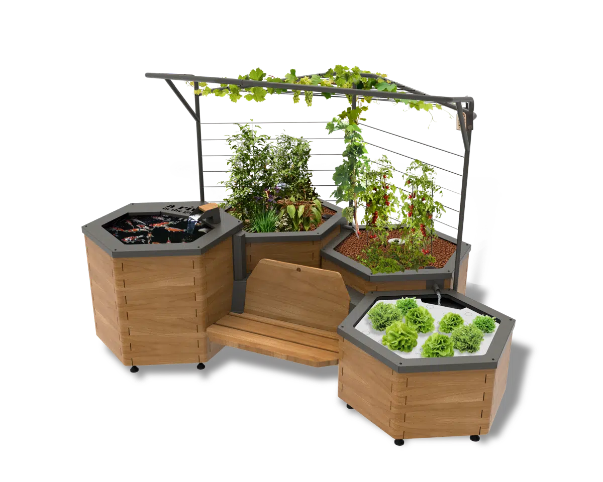 bassin potager aquatique en bois avec quatre modules