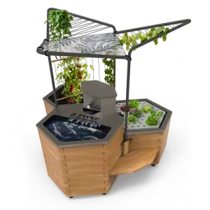 bassin potager aquatique en bois avec 3 modules