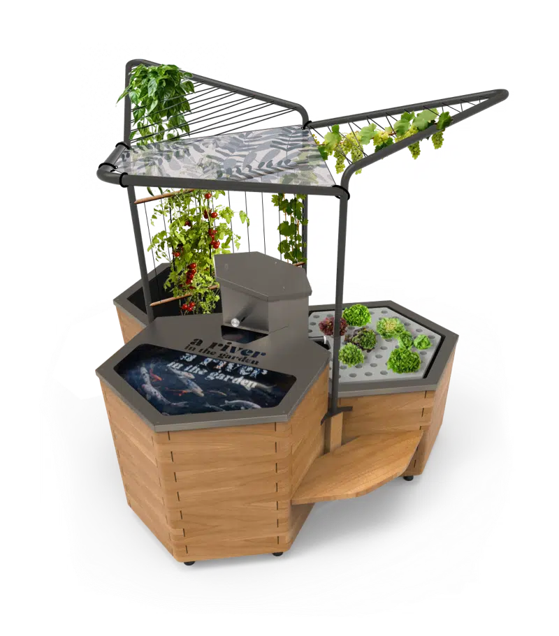 bassin potager aquatique en bois avec 3 modules